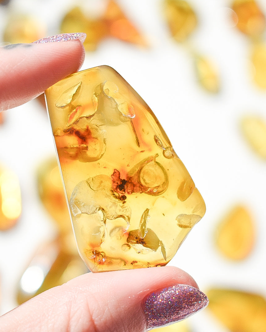 Amber number 33 (plant inclusions)