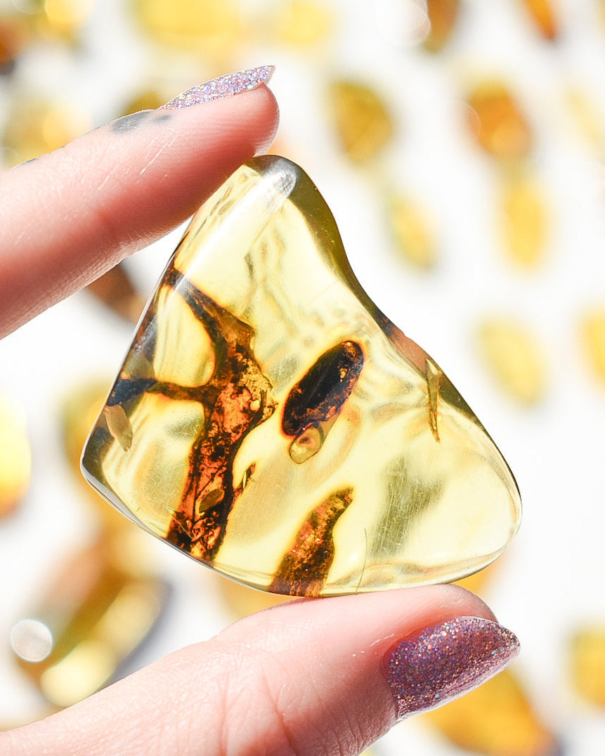 Amber number 35 (plant inclusions)