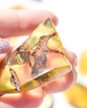 Amber number 35 (plant inclusions)