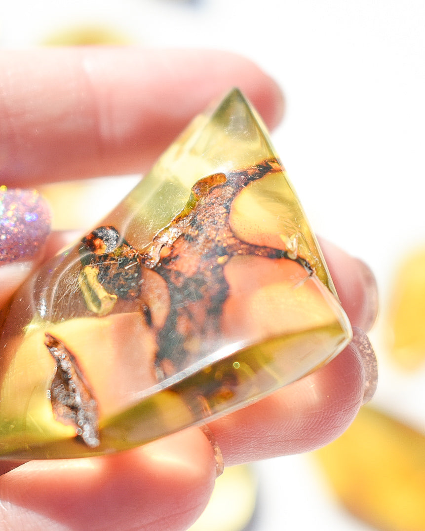 Amber number 35 (plant inclusions)