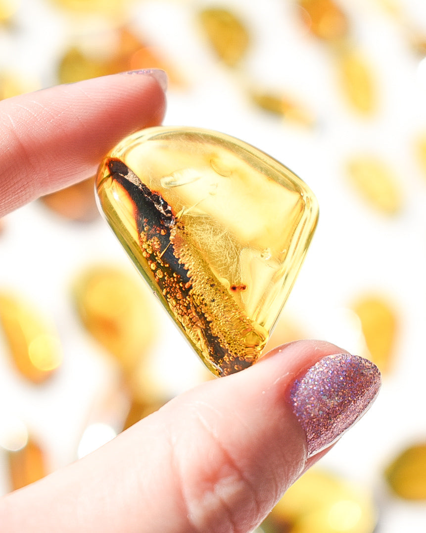 Amber number 46 (plant/bubble inclusions)