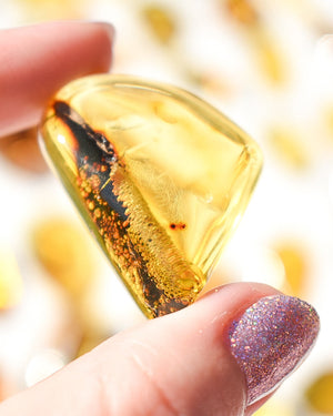Amber number 46 (plant/bubble inclusions)