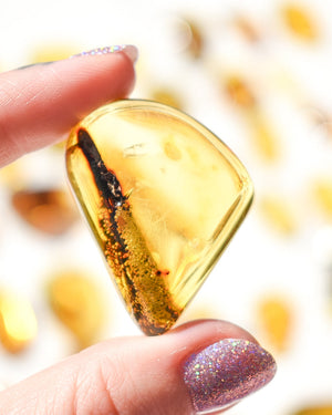 Amber number 46 (plant/bubble inclusions)