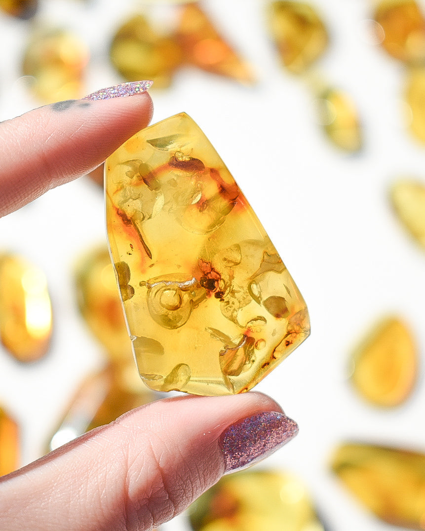 Amber number 33 (plant inclusions)