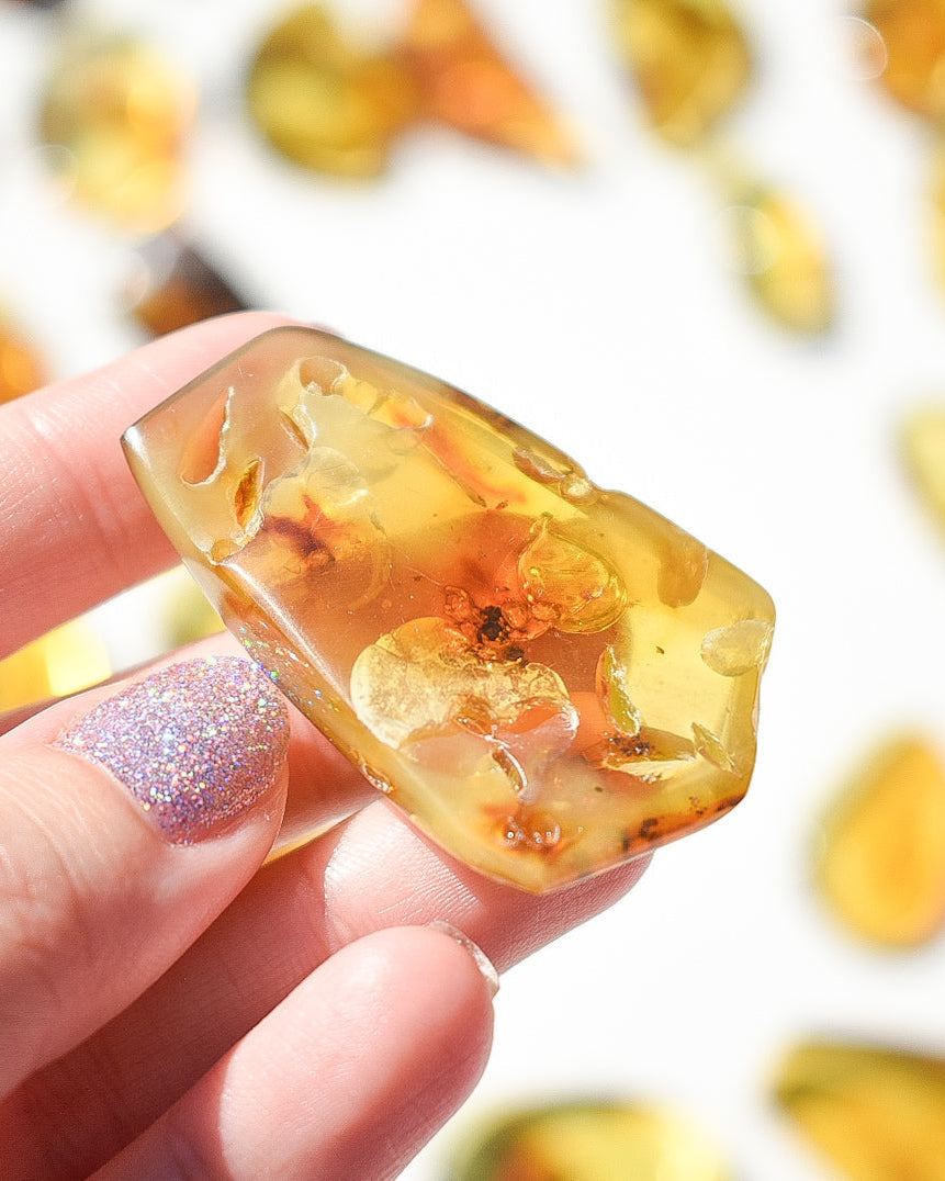 Amber number 33 (plant inclusions)