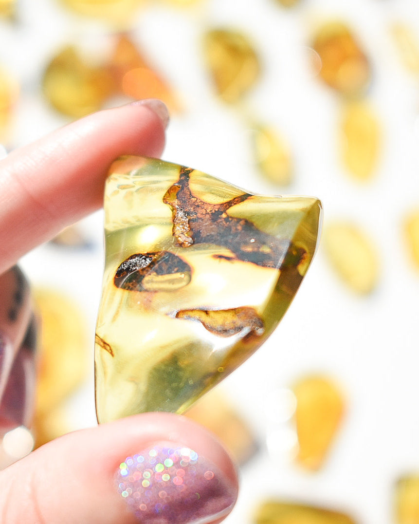 Amber number 35 (plant inclusions)