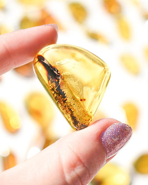 Amber number 46 (plant/bubble inclusions)
