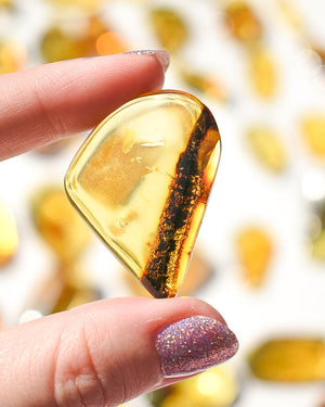 Amber number 46 (plant/bubble inclusions)