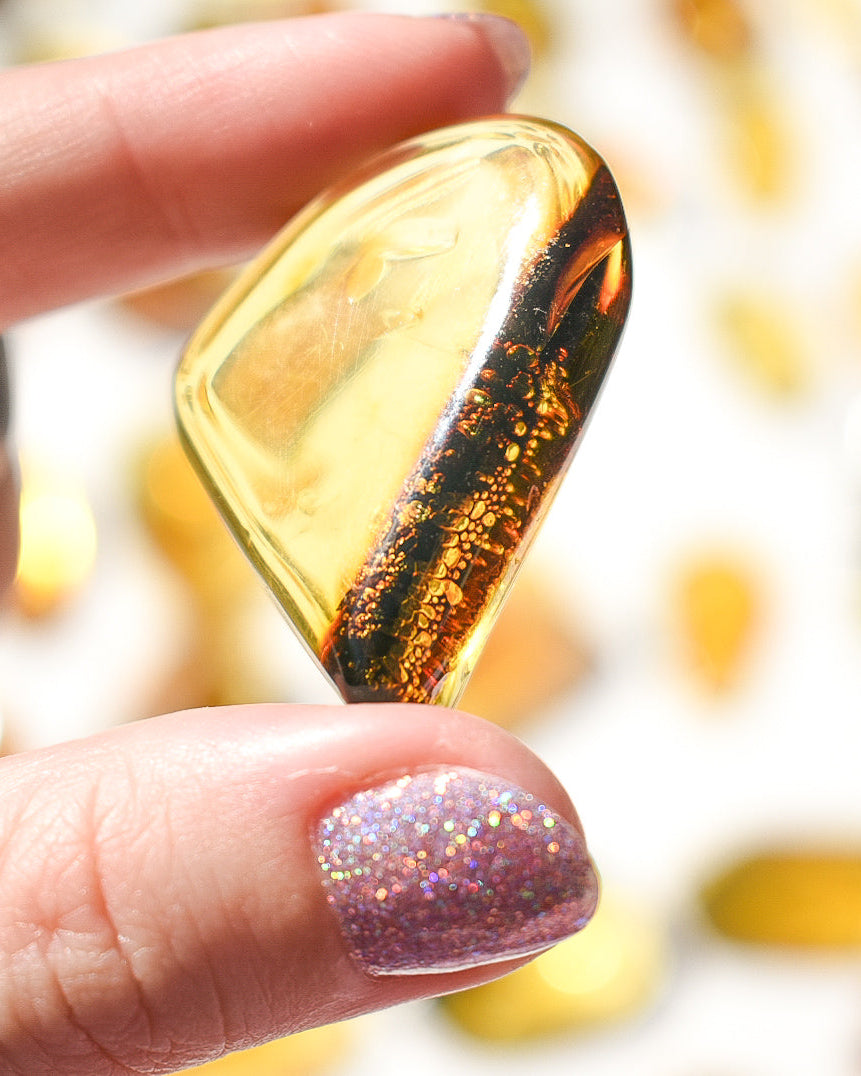 Amber number 46 (plant/bubble inclusions)