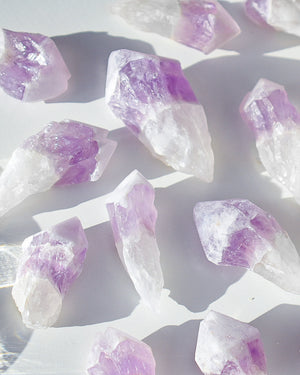 Snow Cap Amethyst Root 9