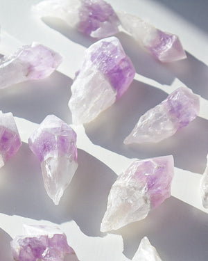 Snow Cap Amethyst Root 9