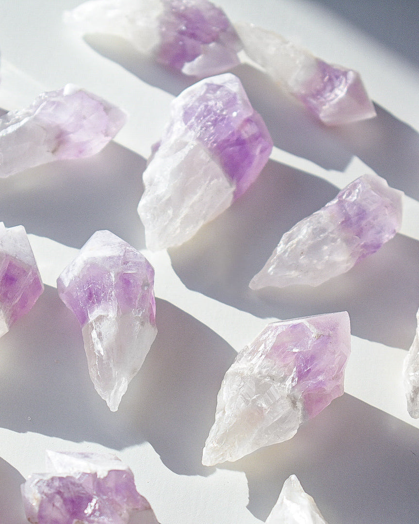 Snow Cap Amethyst Root 9