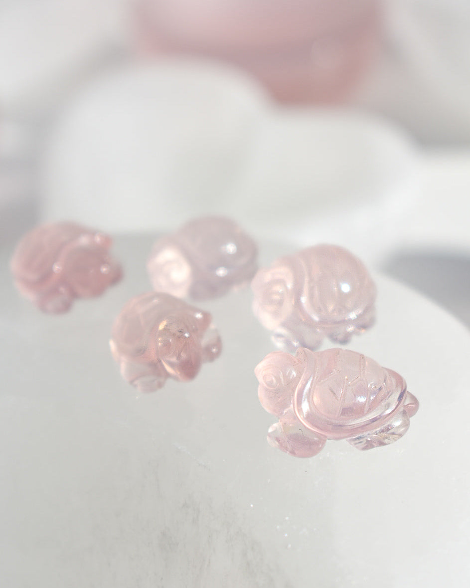 Rose Quartz High Grade Mini Turtle